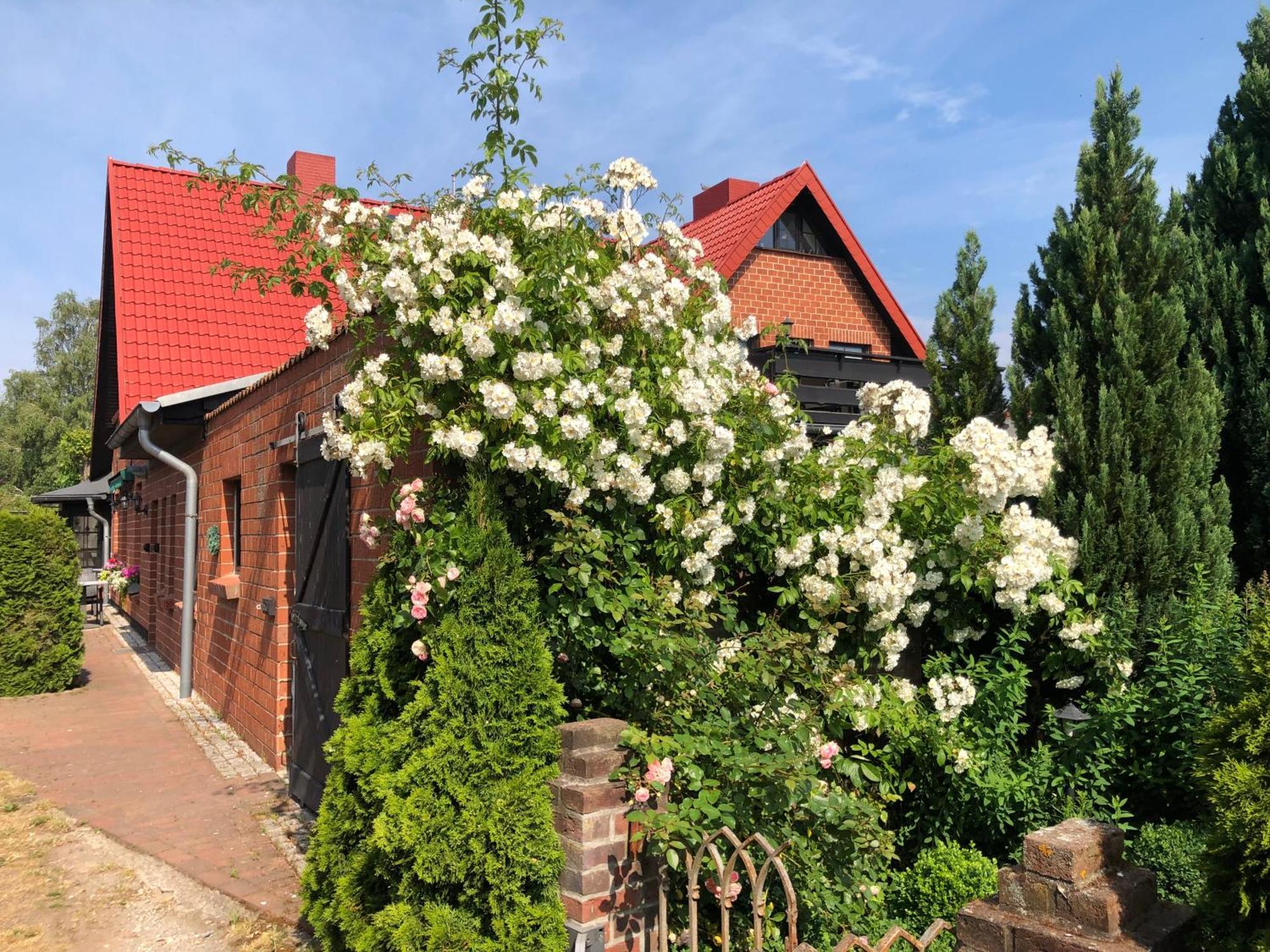 Landhaus Schlunt Wustrow (Fischland) Exterior foto
